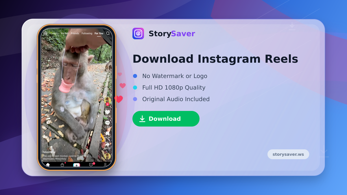 Download Instagram Reels