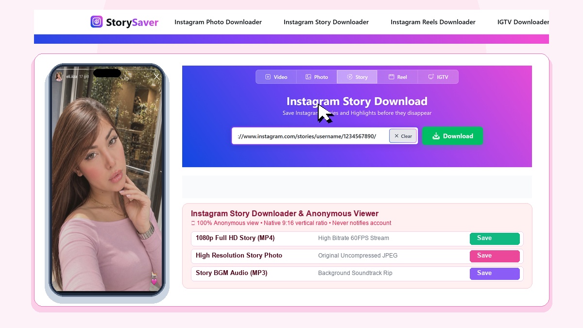 StorySaver EN Story Downloader