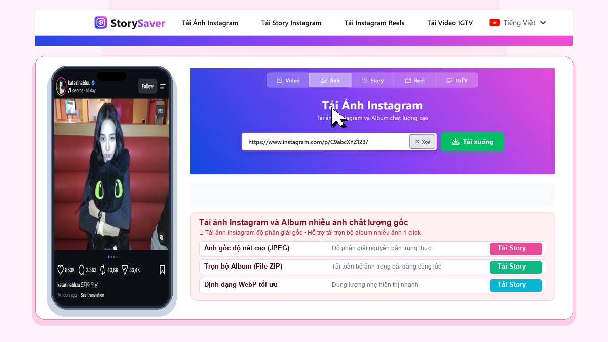 StorySaver VI Photo Downloader
