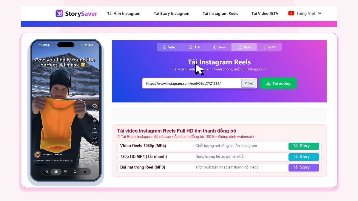 StorySaver VI Reel Downloader