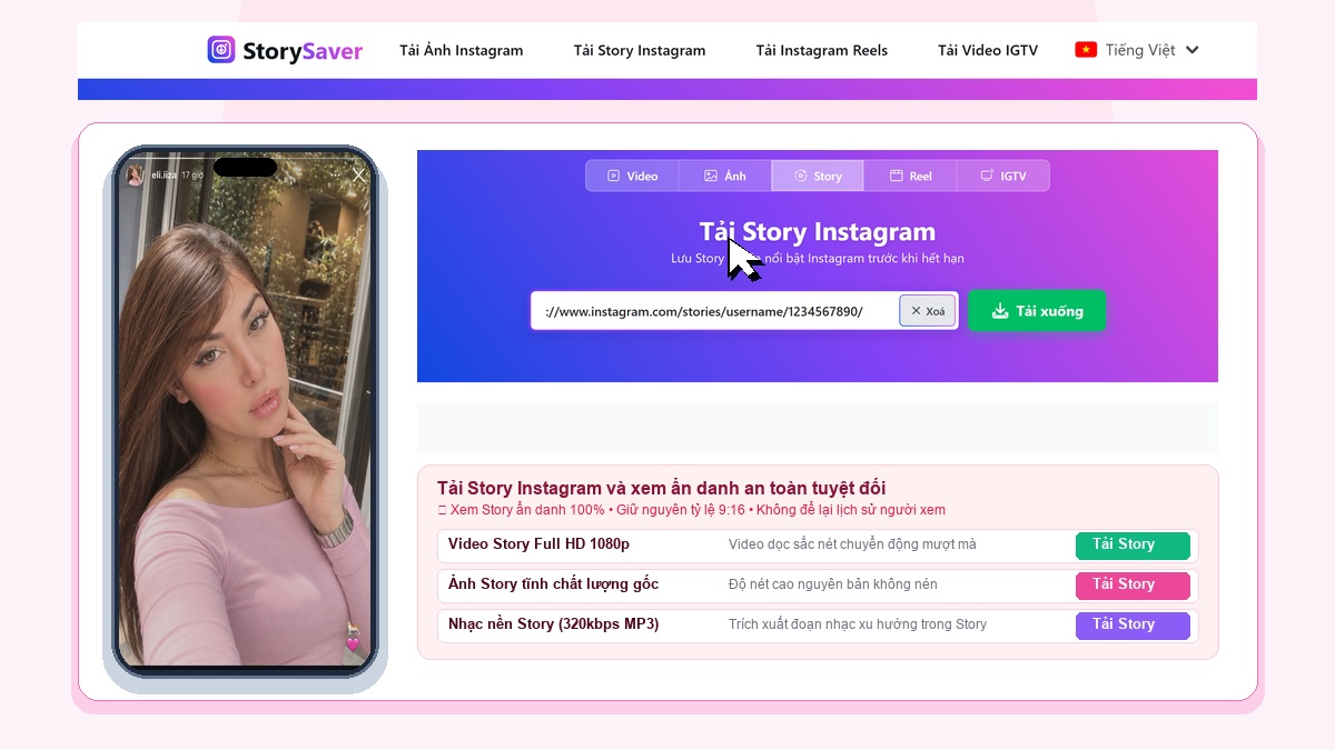 StorySaver VI Story Downloader