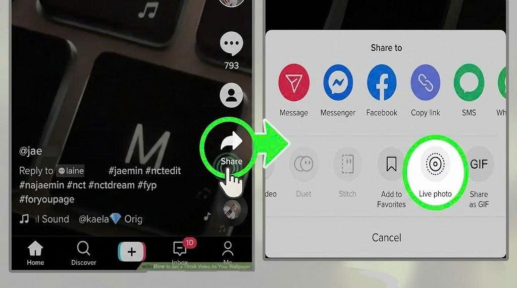 How to Turn TikTok Videos into Phone Wallpapers in Seconds - SaveTik guide