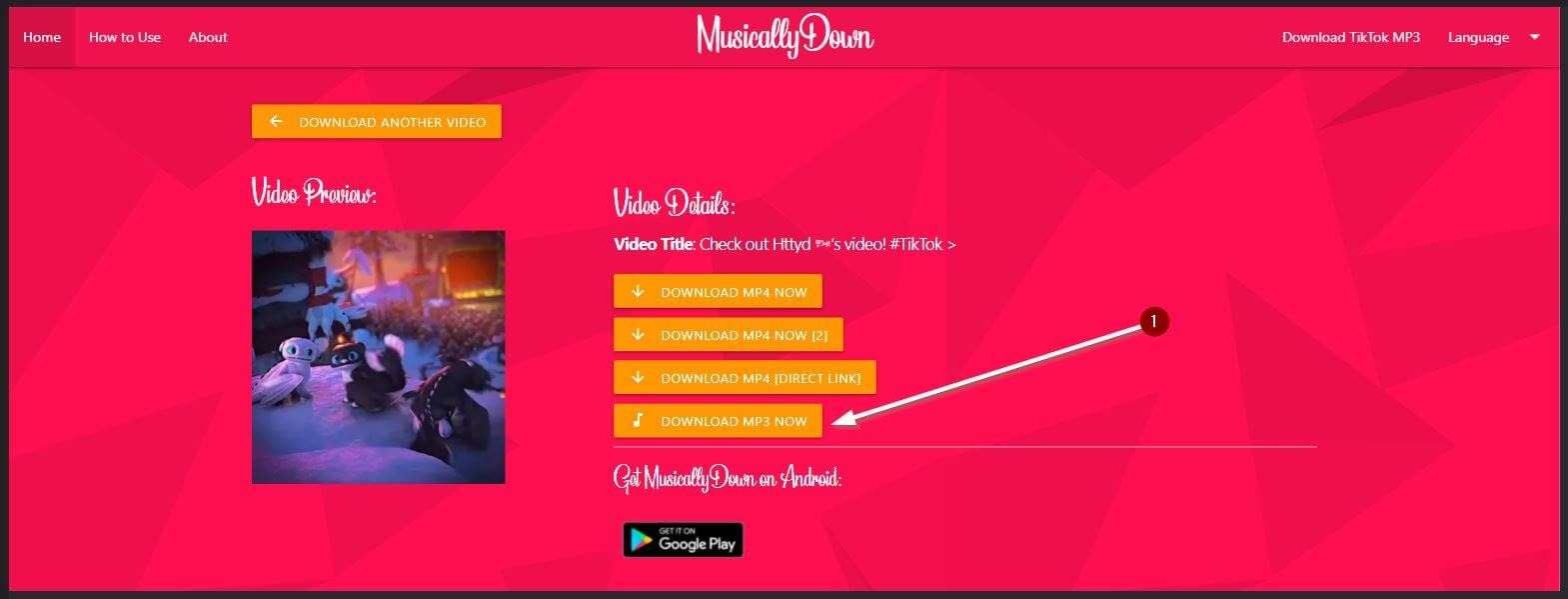 Download TikTok Photos Without Watermark - Fast, Clean & HD - SaveTik guide
