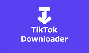 TikTok Downloader FAQs: Everything You Need to Know